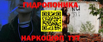 прущие грибы Можайск