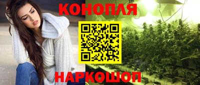 прущие грибы Можайск