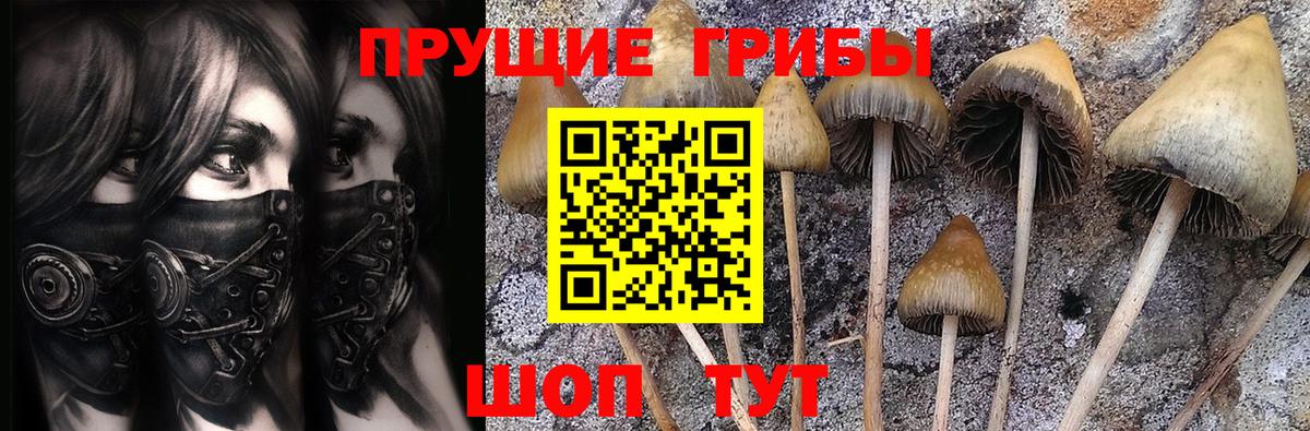 Псилоцибиновые грибы ЛСД Алатырь