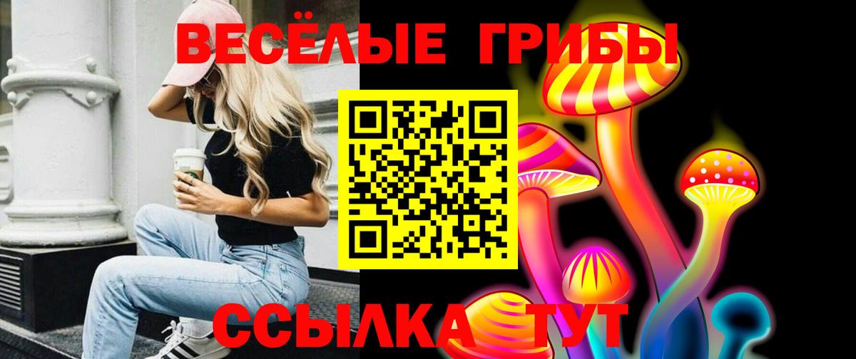 Алатырь  Псилоцибиновые грибы GOLDEN TEACHER  цены наркотик  Вход с VPN 